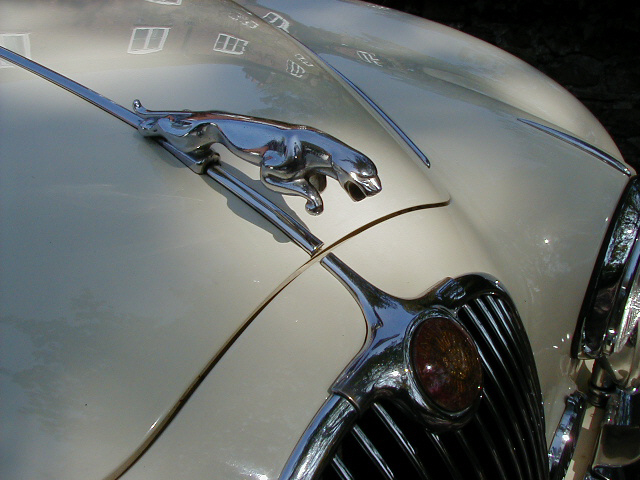 1959 Jaguar Mk1 Saloon - Jaguar mascot